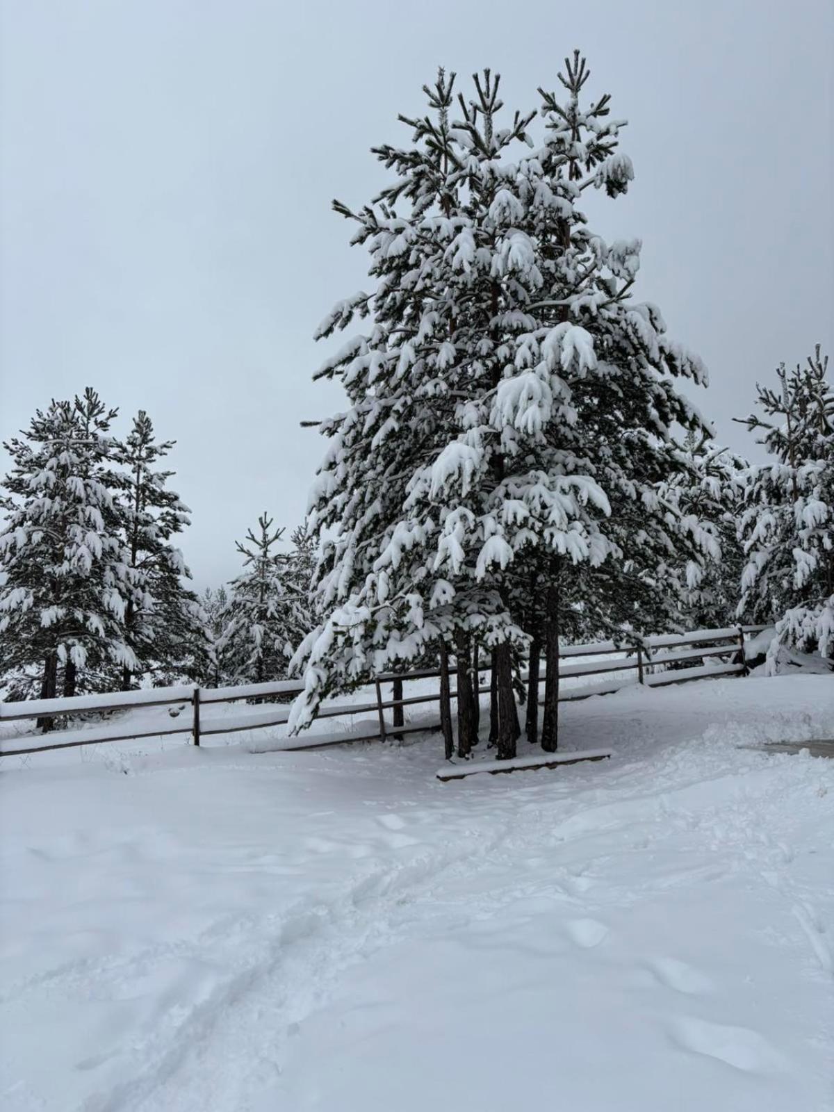 Zabljak_Vikendica エクステリア 写真
