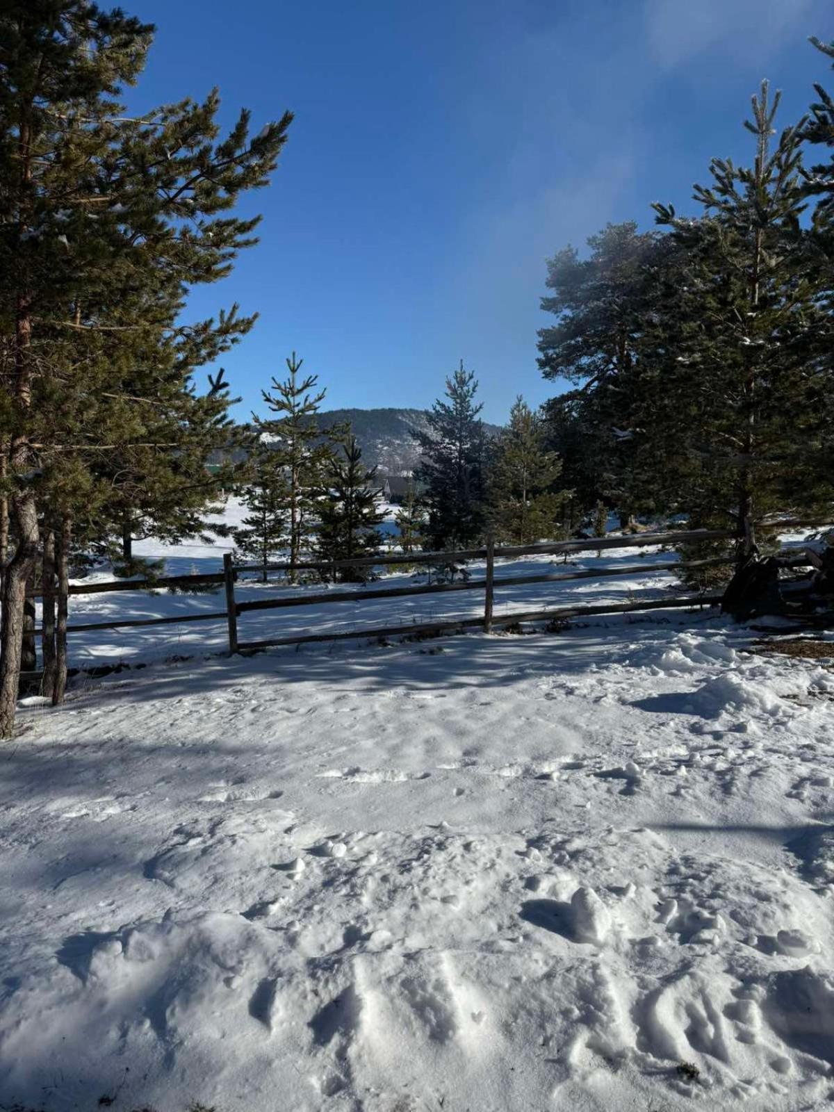 Zabljak_Vikendica エクステリア 写真